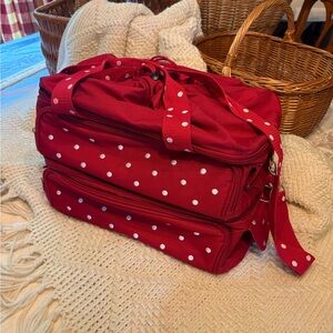 Red Polka Dot Temptations thermal bag